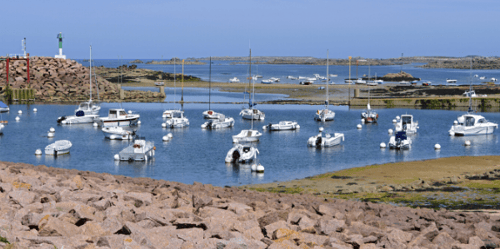 Many boats on the water